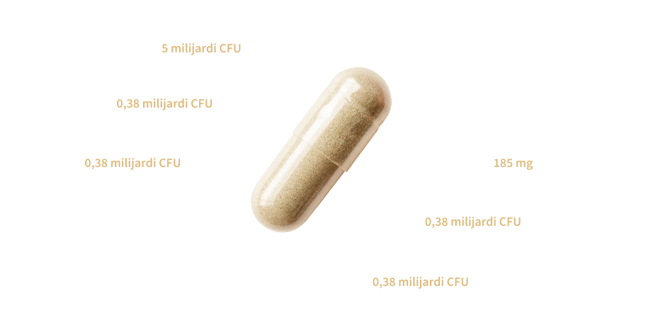 Livilab Probiotic Pure